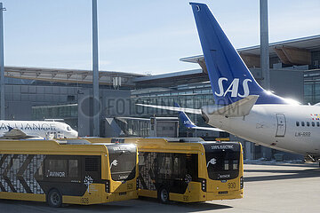 Oslo  Norwegen  Flugzeug der SAS und Elektrobusse vor dem Terminal des Flughafen Oslo-Gardermoen