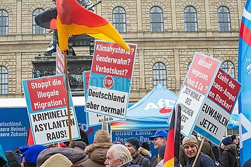 AfD Protest in München
