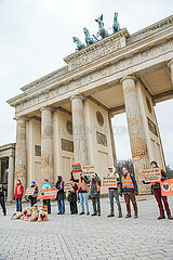 Ohne zu kleben und ohn Schmiererei: Letzte Generation protestiert vor Brandenburger Tor