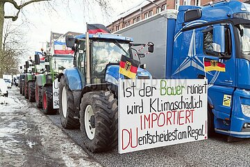 Landwirte demonstrieren gegen geplante Subventionskürzungen