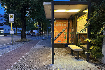 Berlin  Deutschland  Vandalismus: Glasscheibe eines Wartehaeuschens der BVG wurde eingeschlagen