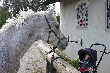 Bruchmuehle  angebundenes Pferd schaut zu einem Kind im Kinderwagen