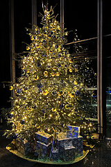 Berlin  Deutschland  Geschenke liegen unter einem festlich geschmueckten Weihnachtsbaum