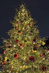 Berlin  Deutschland  festlich geschmueckter Weihnachtsbaum