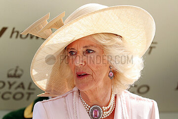 Royal Ascot  Portrait of Camilla  the Queen Consort