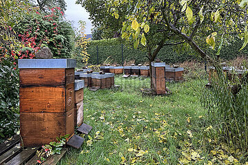 Neuenhagen  Deutschland  Bienenbeuten stehen im Herbst in einem Garten