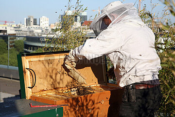 Berlin  Deutschland  Imker arbeitet auf einer Dachterrasse an einer Bienenbox