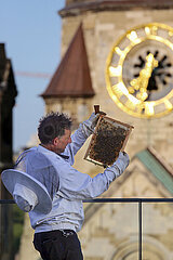 Berlin  Deutschland  Imker kontrolliert in der Stadt eine Wabe eines Bienenvolkes
