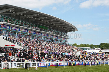 Epsom Downs  View at the grandstand