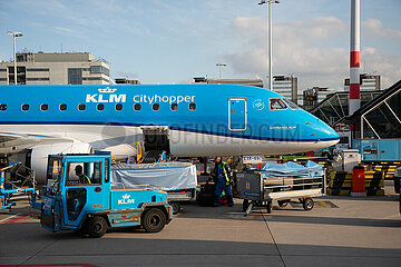 Niederlande  Amsterdam - Flugzeug der KLM an ihrem Heimatflughafen Amsterdam Airport Schiphol (AMS)