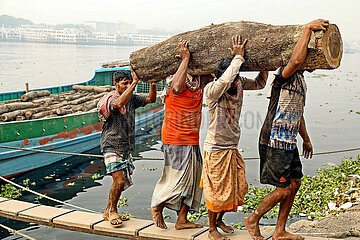 Holz: Arbeiter transportieren gefällten Baum