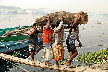 Holz: Arbeiter transportieren gefällten Baum