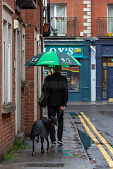 Republik Irland  Dublin - Mann mit gruenem Regenschirm und Hund an regnerischem Tag in der Stadt