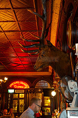 Republik Irland  Dublin - The Stag s Head  Irish pub im Kneipenviertel Tempel Bar  beliebt bei Einheimischen und Touristen