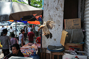 Yangon  Myanmar  Fliegendes Huhn an einem Strassenstand im Stadtzentrum