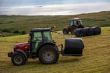 Grossbritannien  Nordirland  Bushmills  County Antrim - Bauern trasnportieren mit Treckern die Heuernte ab  im Hintergrund die Irische See