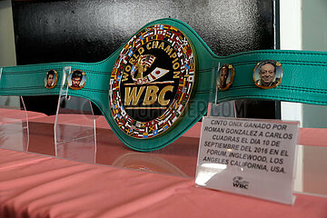 WBC Green and Gold Collection Exhibition
