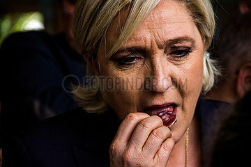 Marine Le Pen visits a pig farm in Brittany. Marine Le Pen visite un élevage porcin en Bretagne.
