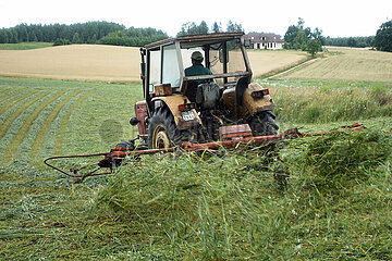Lanken  Polen  gemaehtes Gras wird auf einem Feld zum Trocknen gewendet