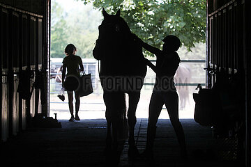 Brieselang  Silhouette von Reiterin und Pferd auf einer Stallgasse
