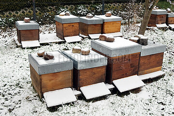 Neuenhagen  Deutschland  Bienenbeuten sind im Winter mit Schnee bedeckt