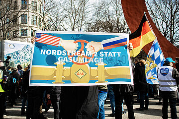 München: AfD demonstriert pro Putin