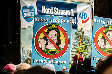 München: AfD demonstriert pro Putin