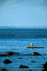 Deutschland  Boltenhagen - Blick auf Windpark in der Luebecker Bucht auf der Seite von Schleswig-Holstein
