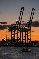 Deutschland  Hamburg - Containerterminal mit Containerbruecken im Hamburger Hafen  vorne ein Ausflugsboot