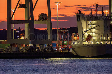 Deutschland  Hamburg - Containerterminal mit Containerbruecken im Hamburger Hafen