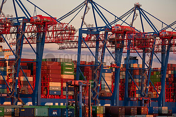 Deutschland  Hamburg - Containerbruecken im Containerterminal Tollerort (CTT) der HHLA
