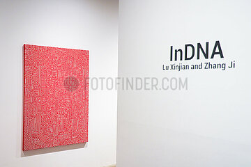 InDNA exhibition of Chinese artists Lu Xinjian and Zhang Ji in Pune