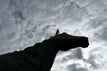 Paris  Frankreich  Silhouette der Statue des Rennpferdes Gladiateur