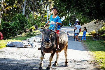 Junge reitet auf Carabao Wasserbüffel