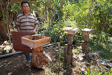 Keroya  Indonesien  Imker hat den Honigraum eines Bienenvolkes geoeffnet