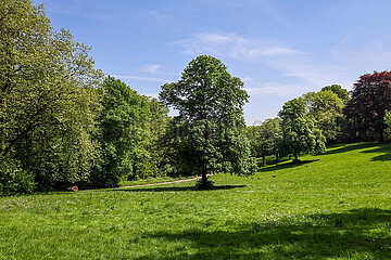 Sedanwiese im Park Kaiserberg  Duisburg  Ruhrgebiet  Nordrhein-Westfalen  Deutschland
