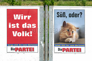 Die Partei Wahlplakate in Schleswig