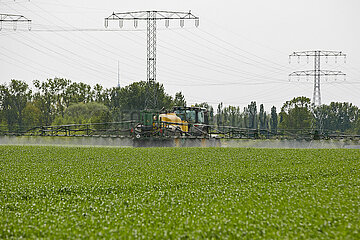 Berlin  Deutschland - Ein Traktor mit einer Anhaengespritze bringt ein Pflanzenschutzmittel auf einem Getreidefeld aus.