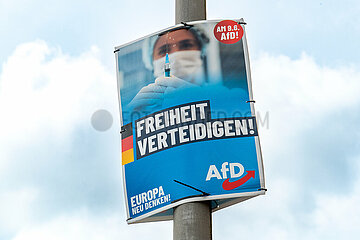 AfD Wahlplakat in Schleswig
