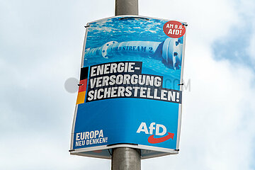 AfD Wahlplakat in Schleswig