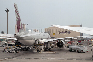 Doha  Katar  Flugzeug der Qatar Airways auf dem Vorfeld des Flughafen