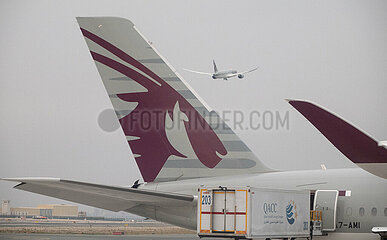 Doha  Katar  Detailaufnahme: Flugzeug der Qatar Airways auf dem Vorfeld des Flughafen