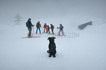 Krippenbrunn  Oesterreich  Hund sitzt vor einer Gruppe von Skifahrern im Schnee