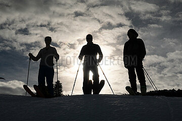 Krippenbrunn  Oesterreich  Silhouette: Skifahrer stehen an einem Hang im Gegenlicht der Sonne nebeneinander
