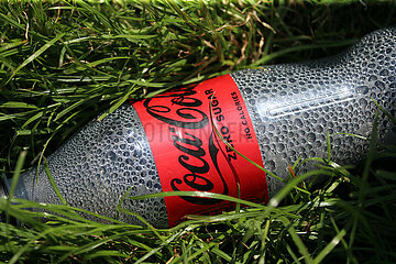 Ascot  Grossbritannien  leere Colaflasche liegt im Gras