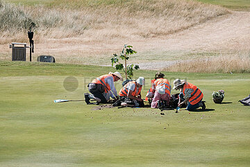 Sylt: Letzte Generation pflanzt Blumen auf Golfplatz Budersand