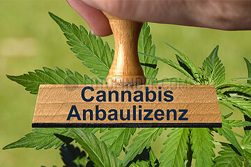 Symbolischer Stempel Cannabis Anbaulizenz