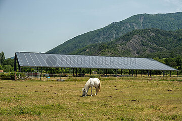 Frankreich  Veynes - Pferd grast vor Photovoltaik-Anlage auf einer Wiese in den Alpen