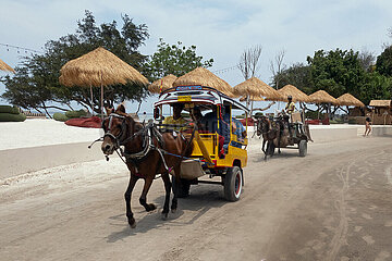 Gili Trawangan  Indonesien  Pferde-Taxis auf einer Strasse