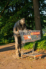 Deutschland  Bremen - Bronzeskulptur MANN MIT EINKAUFSWAGEN eines unbekannten Kuenstlers in den Wallanlagen (Innenstadt) stellt einen Obdachlosen dar